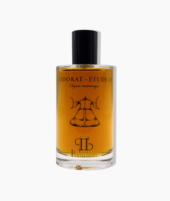 L'odorat 1.5