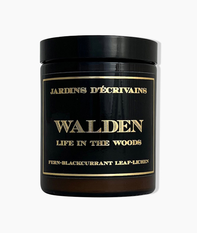 JAR_BOUGIE_WALDEN