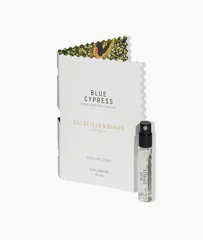 GOL_BLUE_CYPRESS