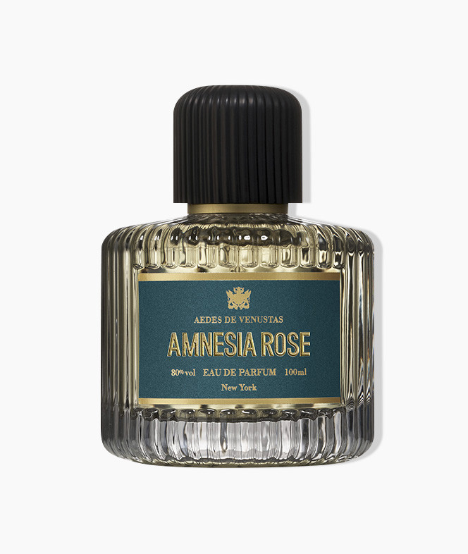 Amnesia Rose - Aedes de Venustas