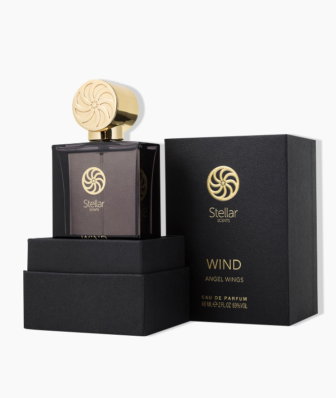 Stellar_Wind