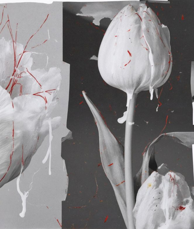 SEMENCE DOUCE - L'Entropiste