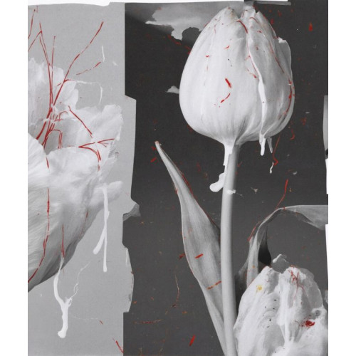 SEMENCE DOUCE - L'Entropiste