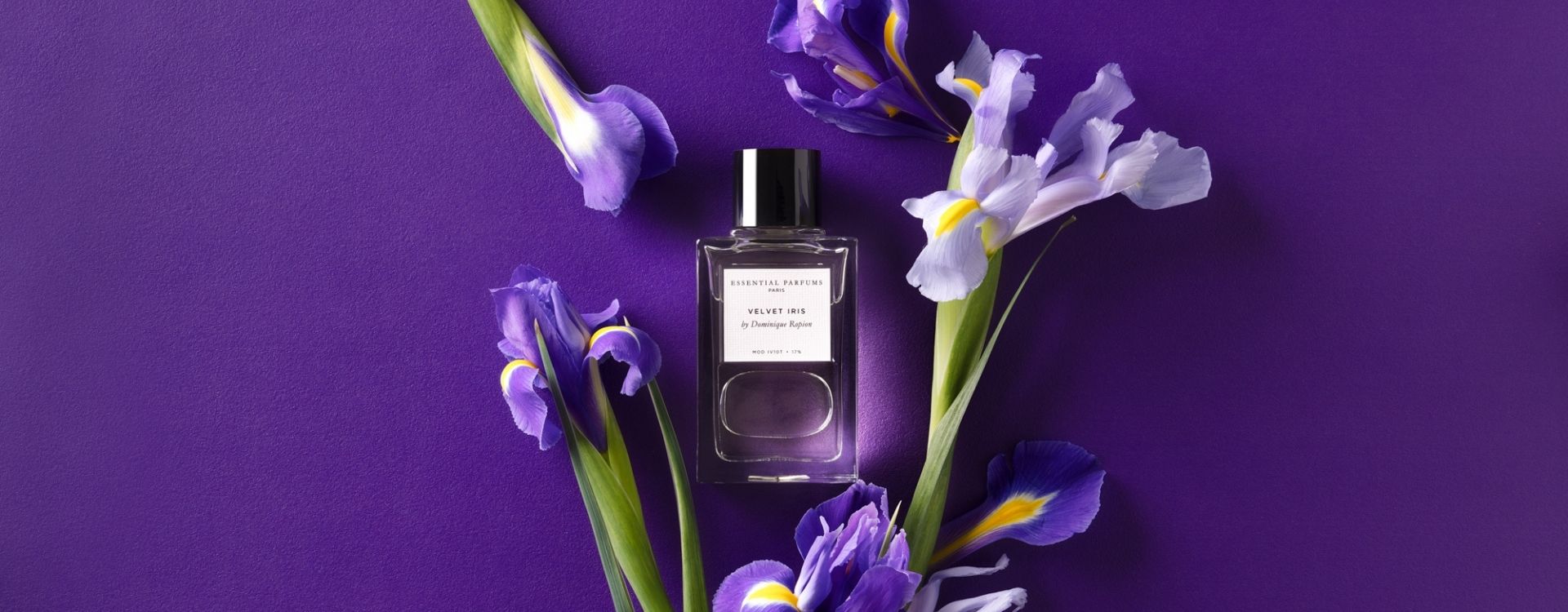 Velvet Iris