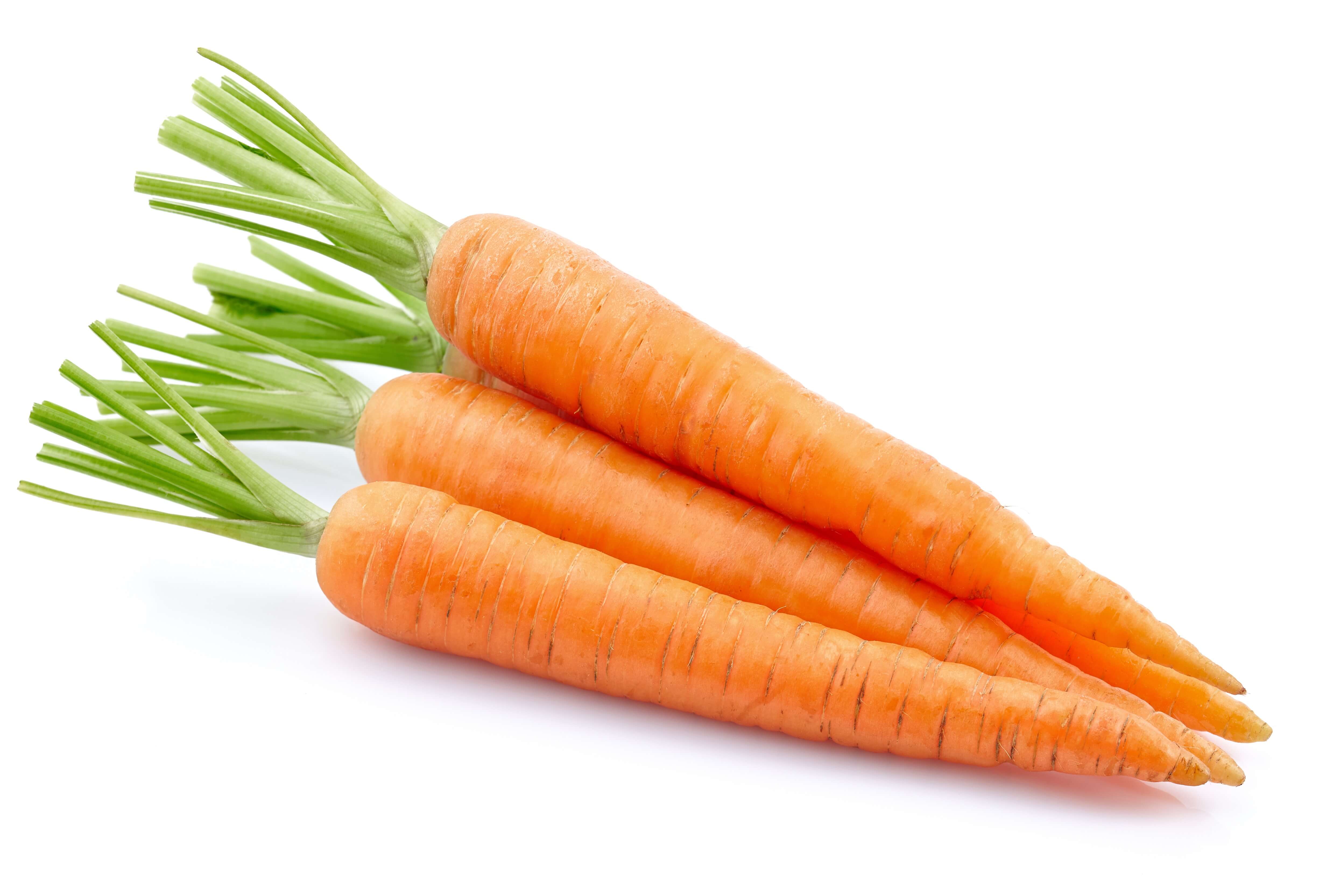 Carrot