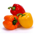 Pepper Bell