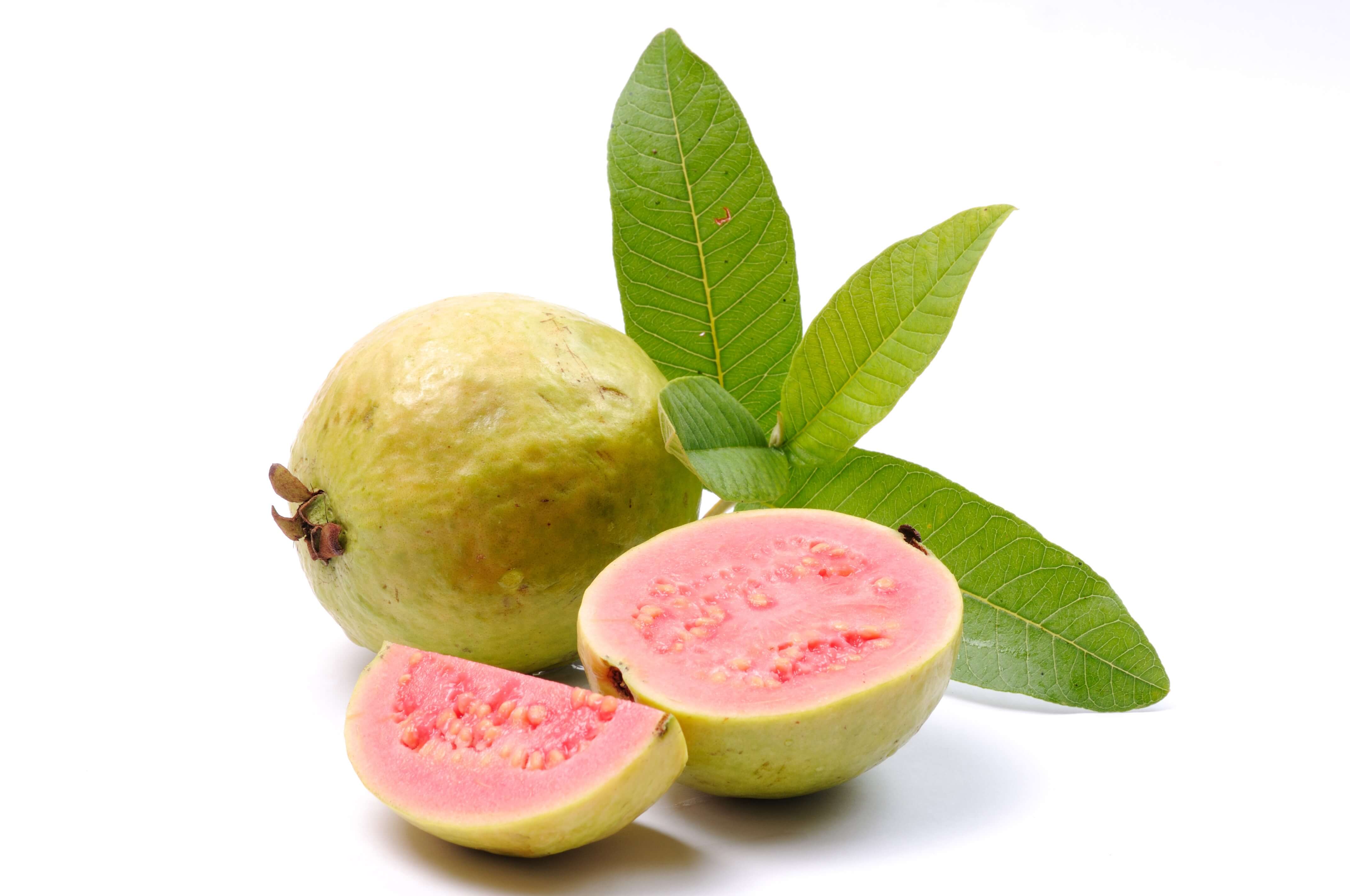 Guava