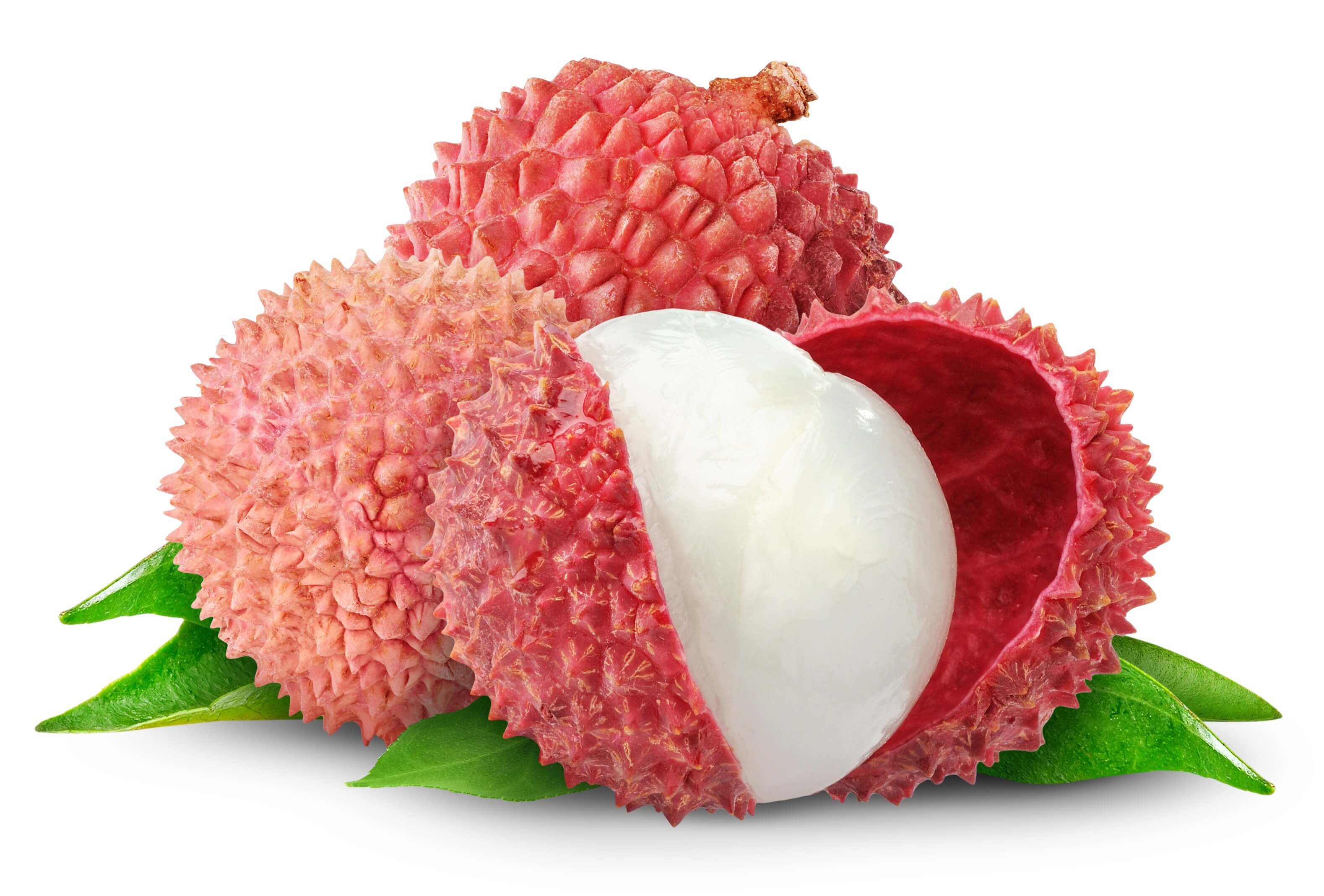 Litchi