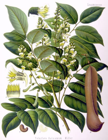 Peru Balsam