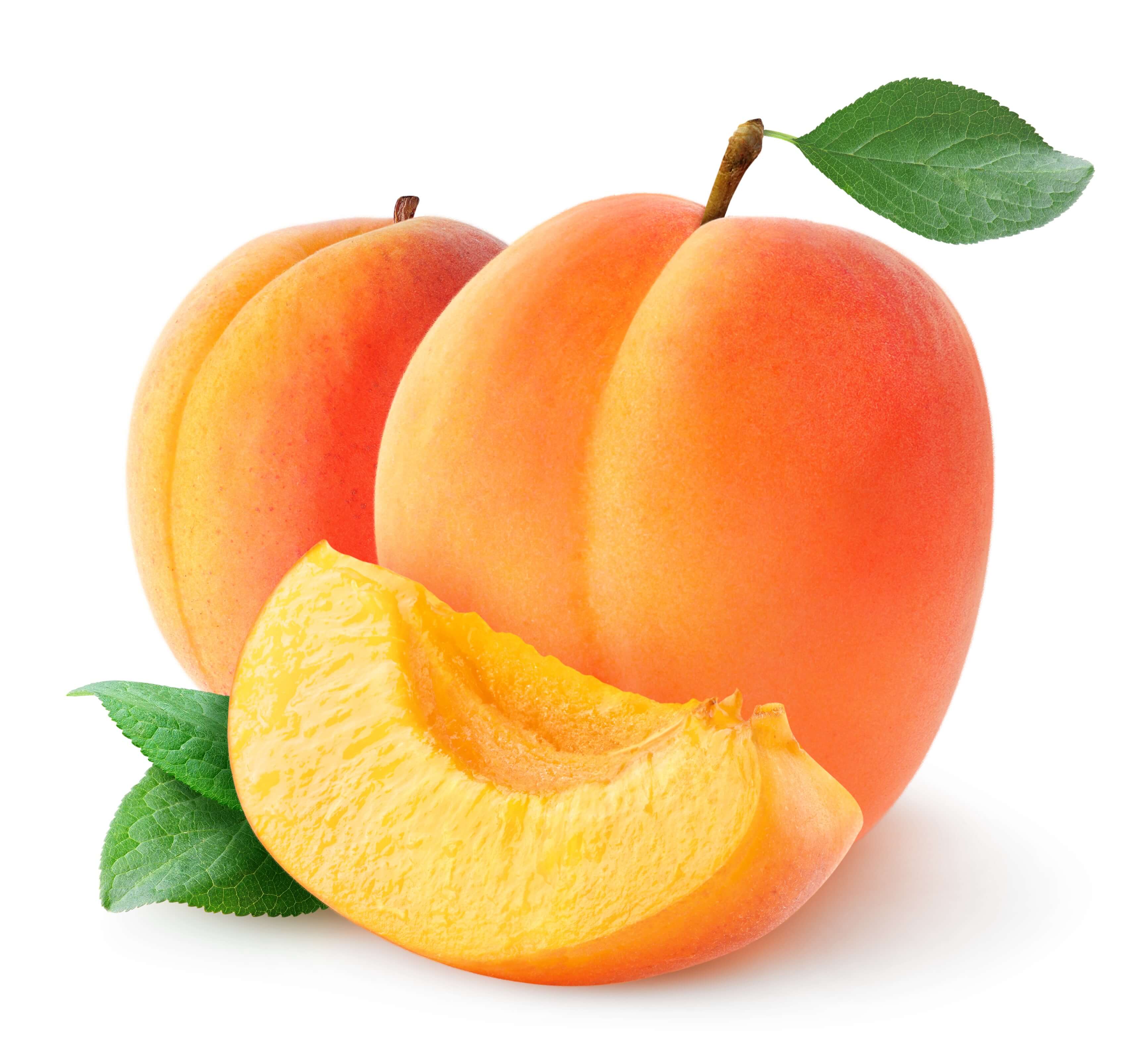 Apricot