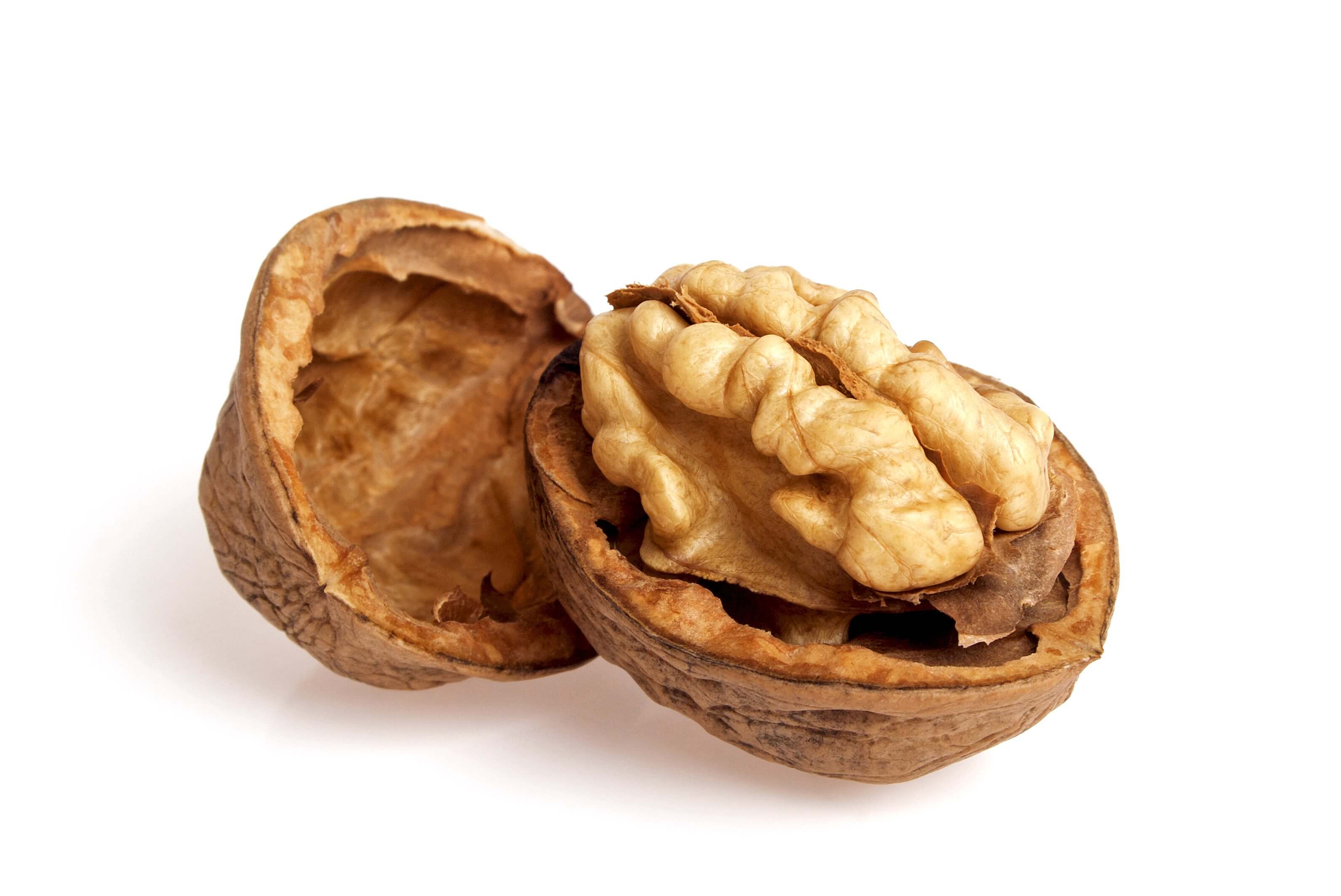Hazelnut