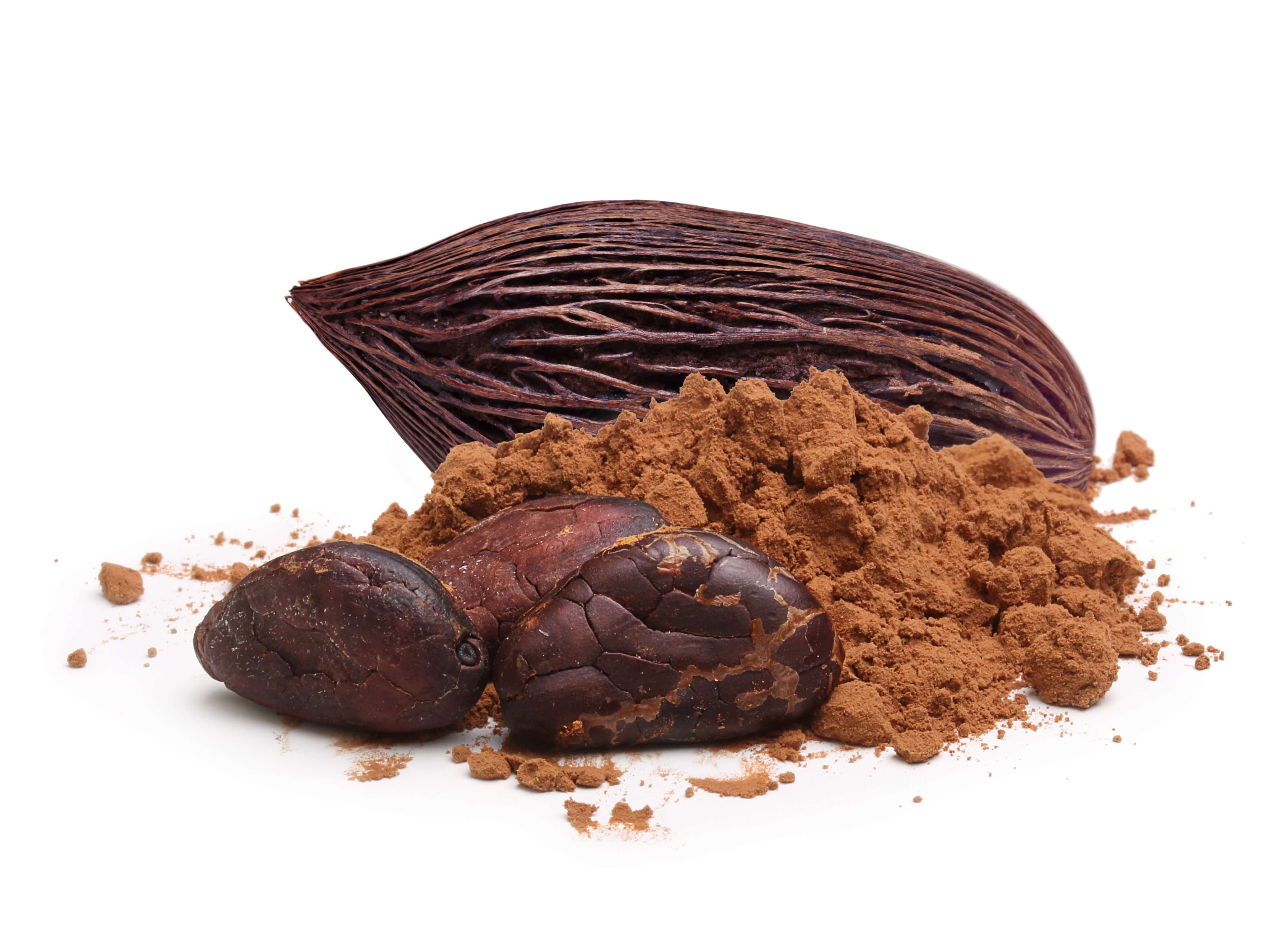 Cacao